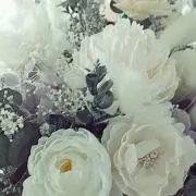 香乃の画像
