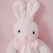 うさぎᕱ・×・ᕱ