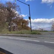 yの画像