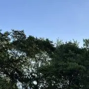 mapoの画像