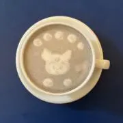 aki