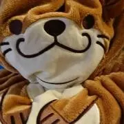 くうちゃんの画像