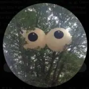 akiの画像