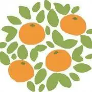 みかんの画像