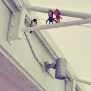 りーの画像