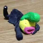 miracle funashiの画像