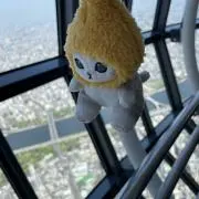 みさごろうの画像
