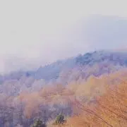 kochi☺︎