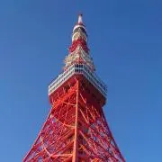 Y'sの画像