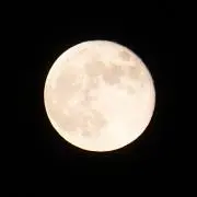 かい