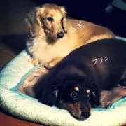 ゆたじ