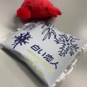 毒肴の画像