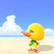 さわの画像
