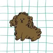 もの画像