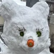 ゆりりすの画像