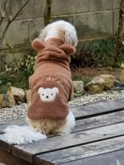 イチゴのかんちゃんの画像