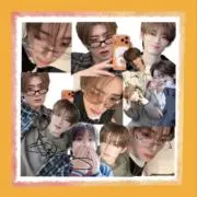 白犬❇︎❇︎グッズ断捨離中❇︎❇︎の画像