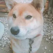 はなママ