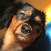 みその画像