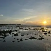 Sagitの画像