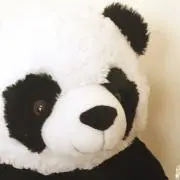 まるまるこの画像
