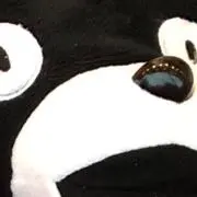 WANIMANIWA⭐︎プロフ必読⭐︎の画像