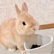 o.nの画像