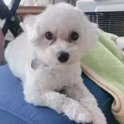るっぴ