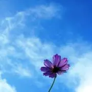風さんの画像
