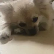値下げしました^_^の画像
