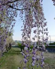 Happiness☆プロフ必読☆の画像