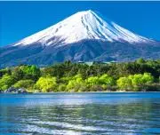 ふわとろの画像