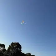 SO✳︎の画像