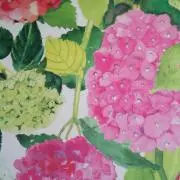 じゅんこ