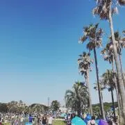 surfinsunnyの画像