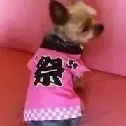 クッキーの画像