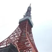 すかいの画像