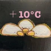 【＋10℃】の画像