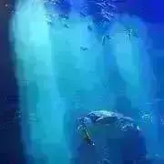 みたらし＊プロフ必読＊の画像