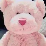 ぷりんの画像