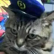 すぎ