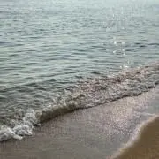 あの画像