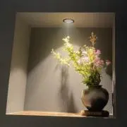 Y⸌⍤⃝⸍Yの画像