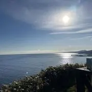 かわの画像