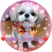 nobu.Junko.love0103♡