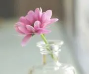 mayunの画像