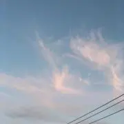 hymの画像