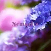 ❤︎Nପଓ*ೃsの画像