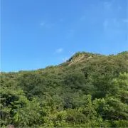椿ママの画像