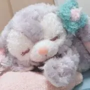 shinの画像